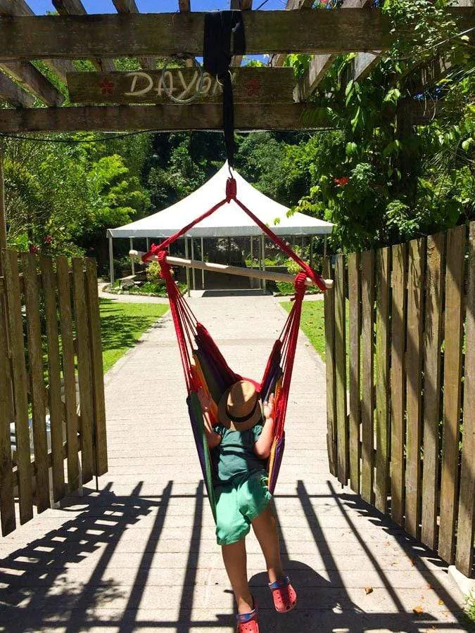 Brazilian Hanging Chair