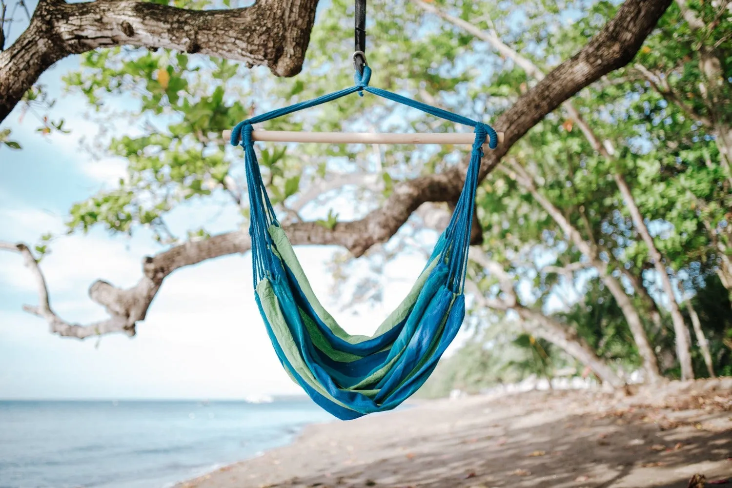 Brazilian Hanging Chair