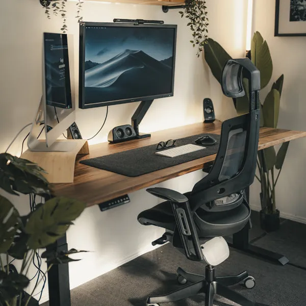 Desky Pro  Ergonomic Chair