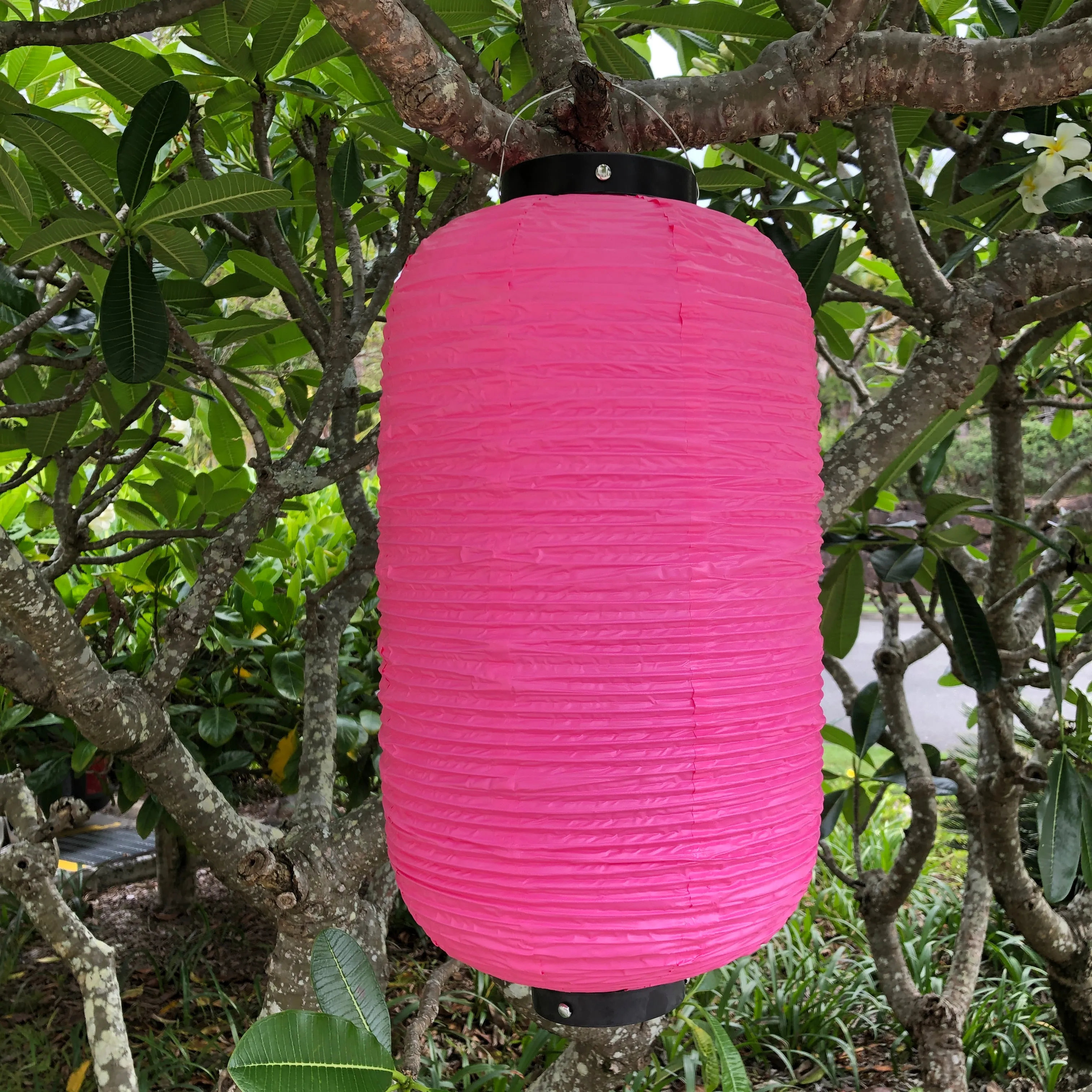 SALE - Traditional Lantern (24cm x 50cm) Vinyl